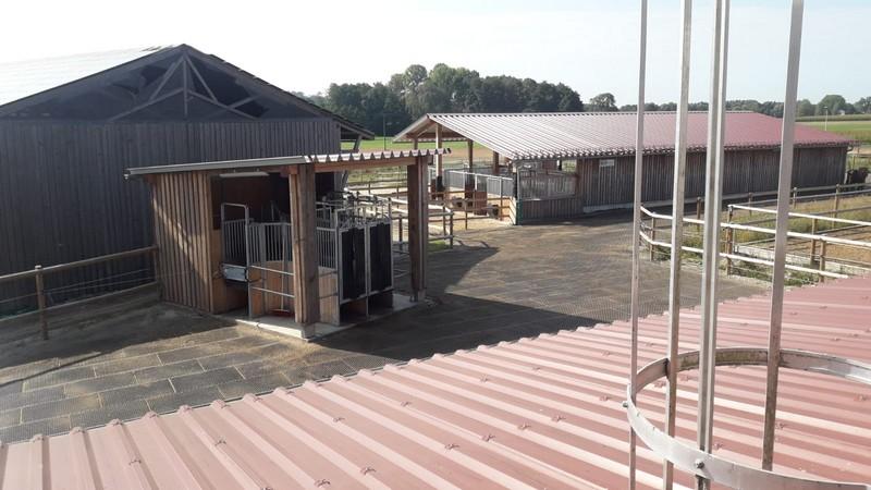 Pferdestall Hohenkammer7 2