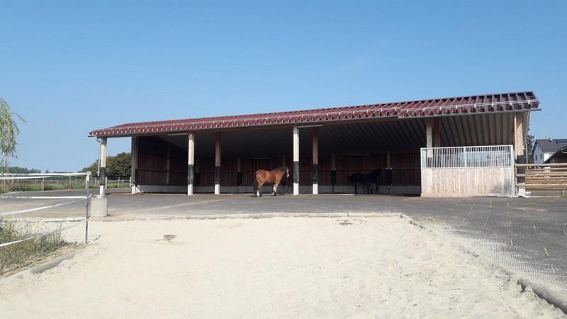 Pferdestall Hohenkammer7 3