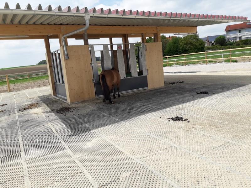 Pferdestall Hohenkammer7 4