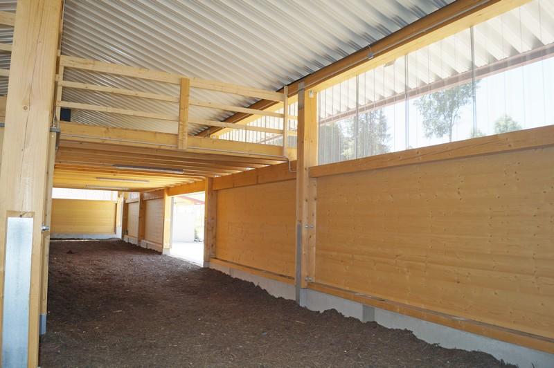 Innenansicht Vollholzwände