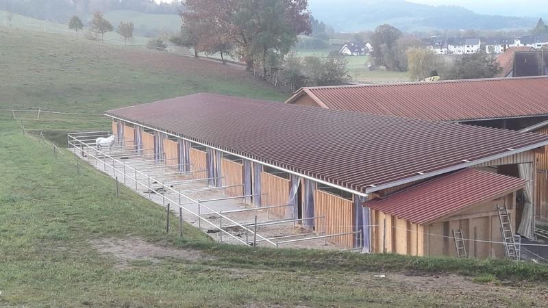 APferdestall,Stegen 4