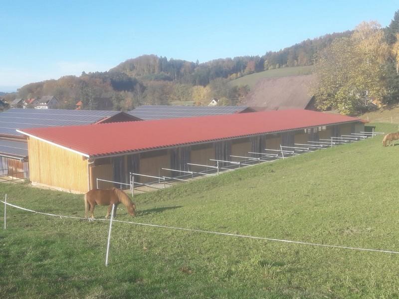 Pferdestall,Stegen 3