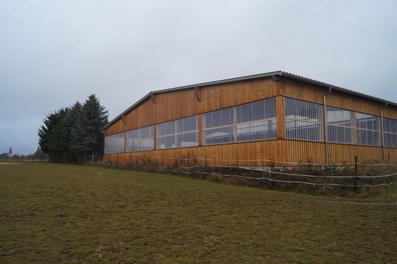 Referenzbilder,Pferdehof Rupp,Spraitbach 16