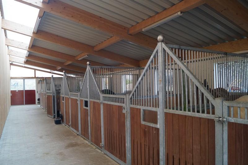 Referenzbilder,Pferdehof Rupp,Spraitbach 8