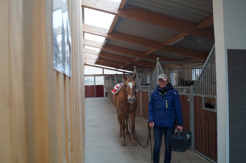 Referenzbilder,Pferdehof Rupp,Spraitbach 9