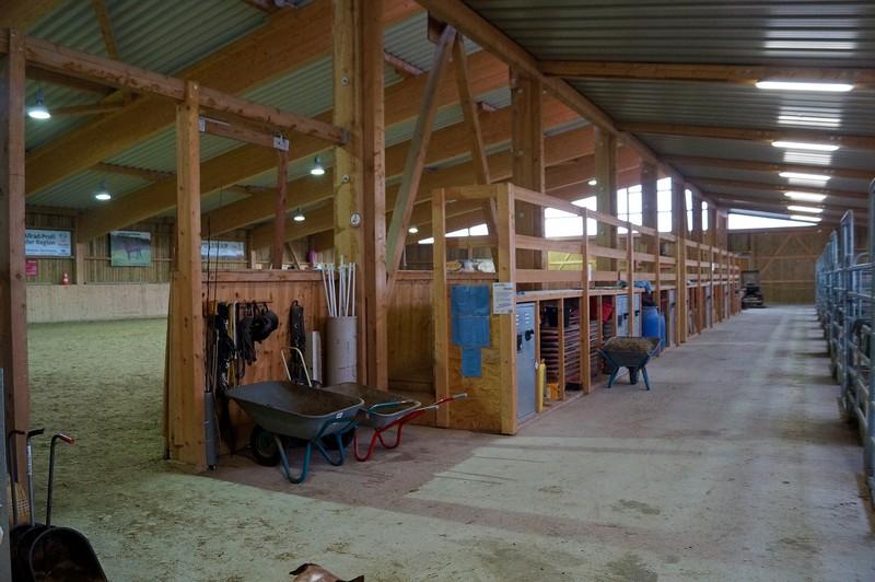 Reithalle mit Stallung,Wohnung,Reiterladen,Empfingen 1