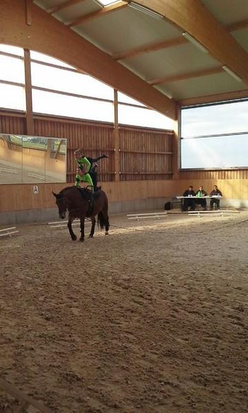 Reithalle,Neisseaü 1