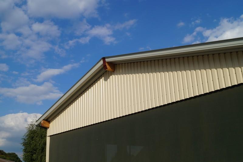 Longierhalle, Neünstein 2