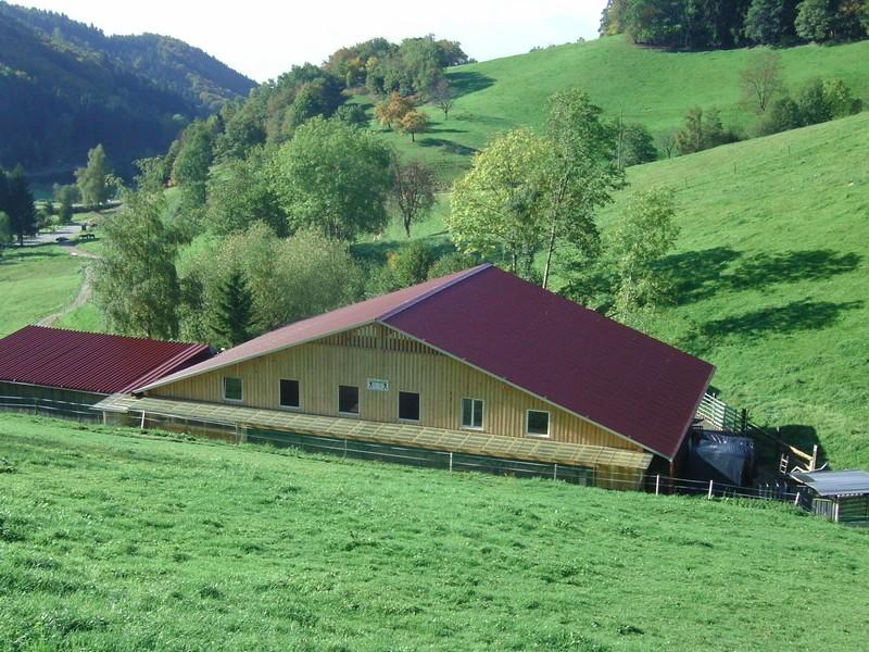 Reithalle, Steinen 1