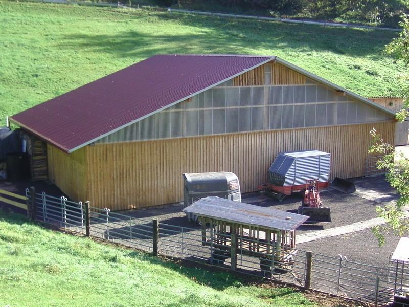 Reithalle, Steinen 2