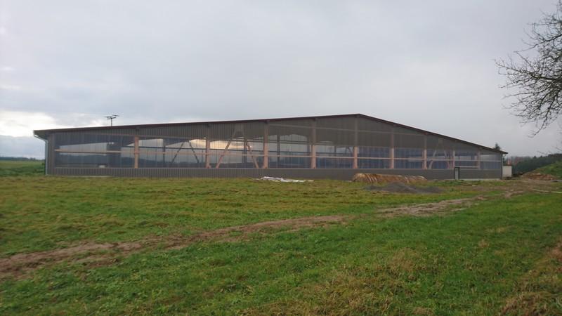 Reithalle Obergröningen7 6