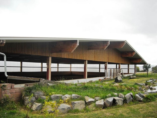 Salto Light System Betonwand zum Hang