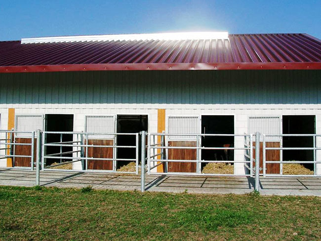 Stall-Aussenpaddocks